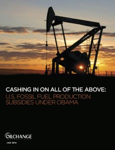 US subsidies report cover