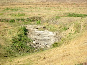 This spring on LJ Turner's ranch used to have water year round. Now it dries up in the summer because the nearby North Antelope Rochelle Mine has drawn down the water table. (Credit Karen Turner)