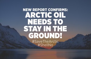 arctic-report-in-the-ground