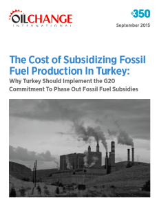 Turkey Subsidies Cover