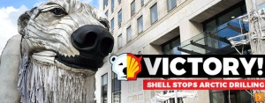 Shell victory