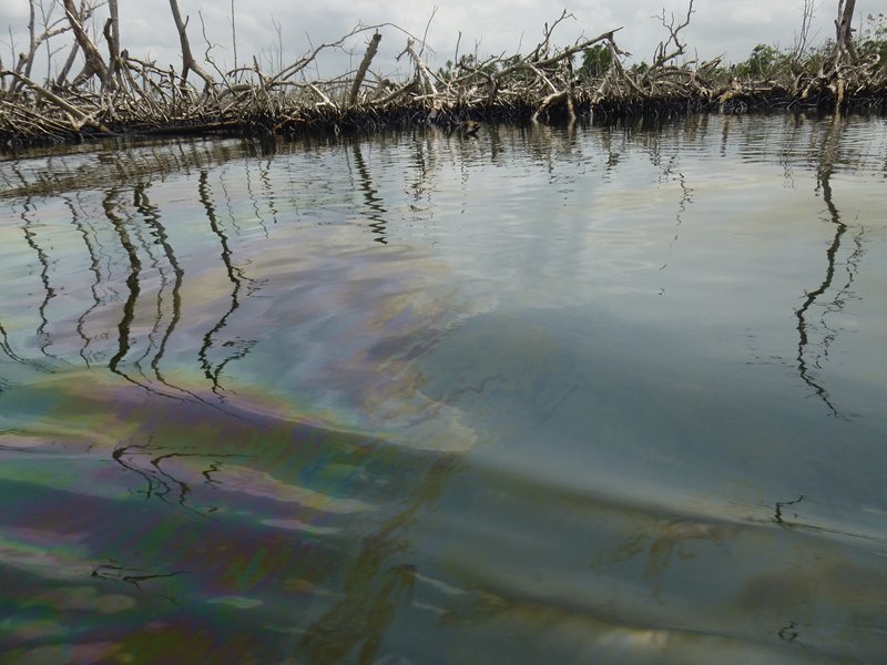 Oil Giant Shell Sued Again Over Nigerian Pollution