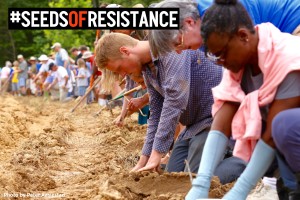 Planting "seeds of resistance" along the proposed route of Dominion's Atlantic Coast pipeline. 