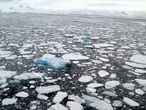 Sea_ice_Antarctica