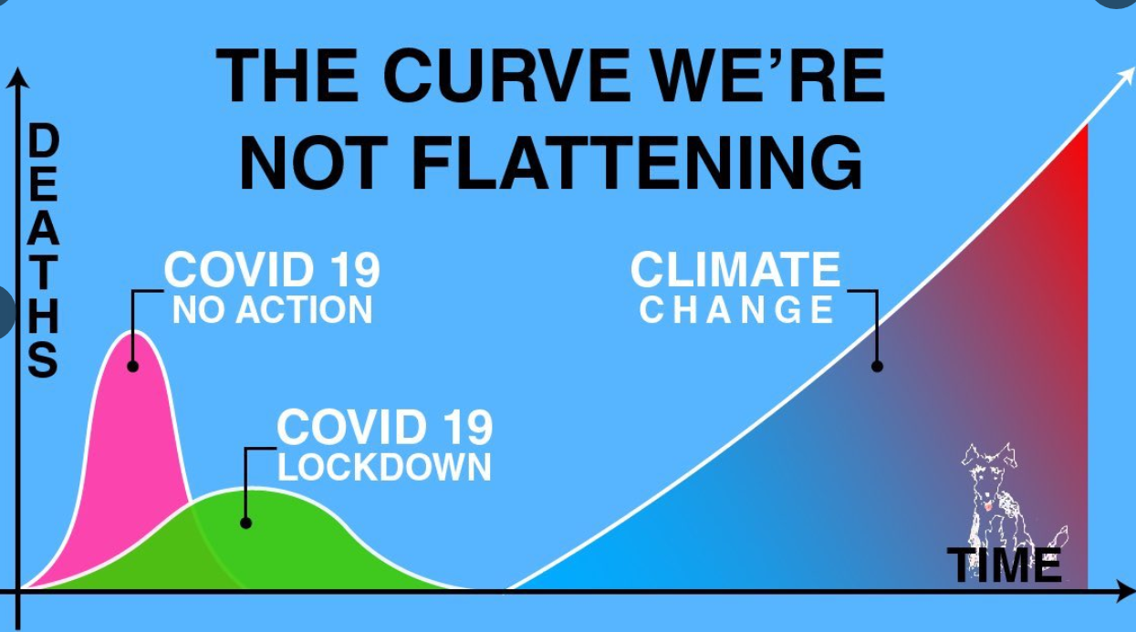 Now is the Time to Flatten the Climate Curve Too