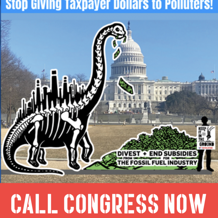 Letter: 500+ Groups Urge U.S. Congress to End Fossil Fuel Subsidies