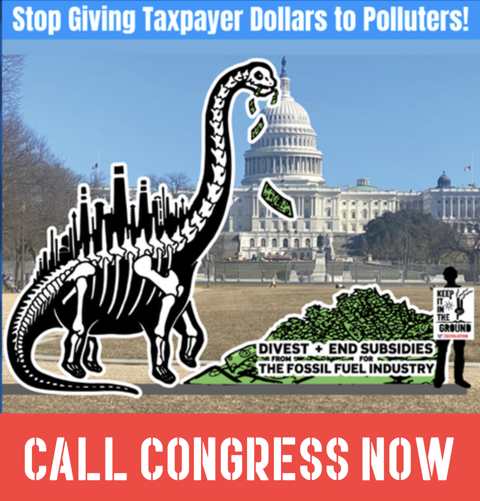 Letter: 500+ Groups Urge U.S. Congress to End Fossil Fuel Subsidies