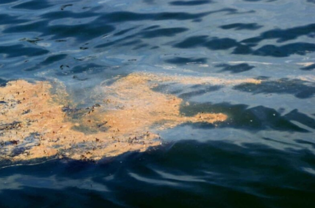 Californian oil spill is another “wake-up call” to ban new fossil fuel projects